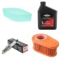 Service Kit for Briggs & Stratton DOV 700 Engine