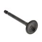 Valve for Stihl FS89, FS91, FS111 Brushcutter - OEM No. 4180 025 2010