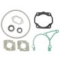 Set Of Gaskets for Stihl TS400, TS400 - 4223 007 1050