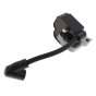 Ignition Module for Stihl BG45, BG55, BG65, BG85 Leaf Blower - OEM No. 4229 400 1300