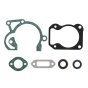 Set Of Cylinder Gaskets for Stihl TS480i, TS500i Disc Cutters - OEM No. 4250 007 1600
