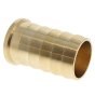 Brass Female 1" BSP Cap & 1" Hose Tail with Leather Washer