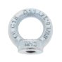 Eye Nut to DIN 582 - i.d. 20mm x 6mm Thread