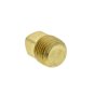 Pipe Plug for Wacker Neuson CRT36, CRT48 Power Trowel - OEM No. 5000172971