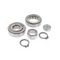 Bearing Repair Kit for Wacker IRFU 57, IRFU 57/115 Vibrator - OEM No. 5000202267
