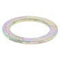 Supporting Disc Ss for Hatz 1D41 Engine - 50453600