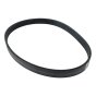 Poly V-Belt for Hatz 3H50, 4H50 Engine - OEM No. 50629401
