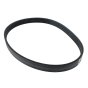 Poly V-Belt for Hatz 3H50, 4H50 Engine - OEM No. 50629401