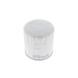 Filter for Husqvarna PT26D Ride On Mowers - OEM No. 544291201