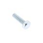 Screw for Husqvarna BG 245 Compactors - OEM No. 595 10 98 01