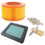 Non Genuine Service Kit for Bomag BT60/4, BT65/4 Rammers