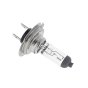 Bulb 12V 55W, H7 PX26D UV Xenon 1 Pack - Durite Part - 7-004-99
