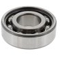 Ball Bearing 6203 C3 Mfg Skf1 fits Husqvarna 281, 281XP, 288 Chainsaws - 738 22 03 25