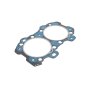 Cylinder Head Gasket Lpw2 for Lister Petter