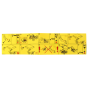 Instruction Decal for Belle BMD 300 Minidumpers - 800/99832