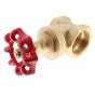 Brass Wheel Gate Valve 1.1/2" Female/ Female BSP