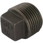 Malleable Iron Plug