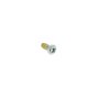 Screw Pan 4x8 for Honda GX25NT, GX25T Engines - 90013 Z3E 003
