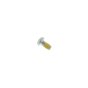 Screw Pan 4x8 for Honda GX25NT, GX25T Engines - 90013 Z3E 003