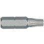 Torx Insert Bit 25mm Size 40 for Addax - 2 Pack