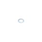 1000 Pack 6mm Internal Lock Washers DIN 6798 Zinc Plated
