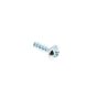 Self Tapping Screw P3.5x10 for Stihl RE520W, RE550W Pressure Washer - 9104 003 9939