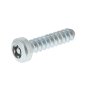 Self-Tapping Screw for Viking GB 370.2 S, 370.1 S Petrol Shredders- OEM No. 9104 007 4436