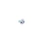 Screw for Kawasaki FR651V Engines - OEM No. 920092402