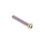 Screw Pan 5x30 for Honda Machines - OEM No. 93500 050 300A