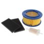 Kit RTX Service GX100 ( 50 Hour for Belle RTX Trench Rammer - 980/02900