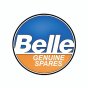 Layshaft & Pulley for Belle Premier T Cement Mixer - 908/16100