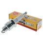BPZ8HS-10 Spark Plug - Genuine NGK Replacement Plug