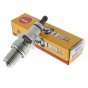BR8ECM Spark Plug - Genuine NGK Replacement Plug