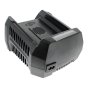 Battery Charger 220v - Genuine Briggs & Stratton - 1760264