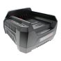 Battery Charger 220v - Genuine Briggs & Stratton - 1760264