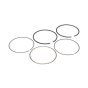 Ring Set - Briggs & Stratton - 592660
