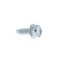 Screw for Briggs & Stratton 100602 Engines - 699481