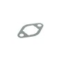 Intake Gasket for Briggs & Stratton