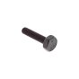 Screw for Briggs & Stratton 14D932, 125P02 Engines - 793454
