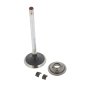 Valve-Exhaust for Briggs & Stratton 44T977-0009-G1 25 HP Series Engines - 793557
