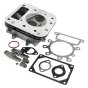Cylinder Head for Briggs & Stratton 21R707-0084-G1 10.5 HP Engine - 796183
