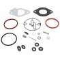 Kit-Carb Overhaul for Briggs & Stratton 215702 Engines - OEM No. 796184