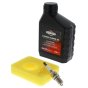 Engine Care Kit Series 450e, 500e - Briggs & Stratton - 992231