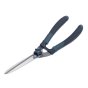 BD3021T Evergreen Hedge Shears by Bulldog - BD2031T
