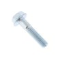 Collar Bolt for Camon C10 PowerSafe Rotavators - OEM No. 31112165