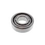 Bearing for Ferrari Rotary Hoe - OEM No. 37141201