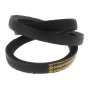 Belt for Camon C250 Chipper Genuine Part - OEM No. CP10020012