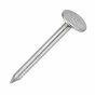 Galvanised Clout Nails