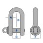 Alloy Steel D Lifting Shackles