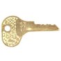 Plant Key for Bosch Ignitions - E30 Replacement